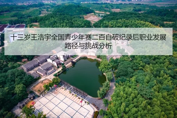 十三岁王浩宇全国青少年赛二百自破纪录后职业发展路径与挑战分析